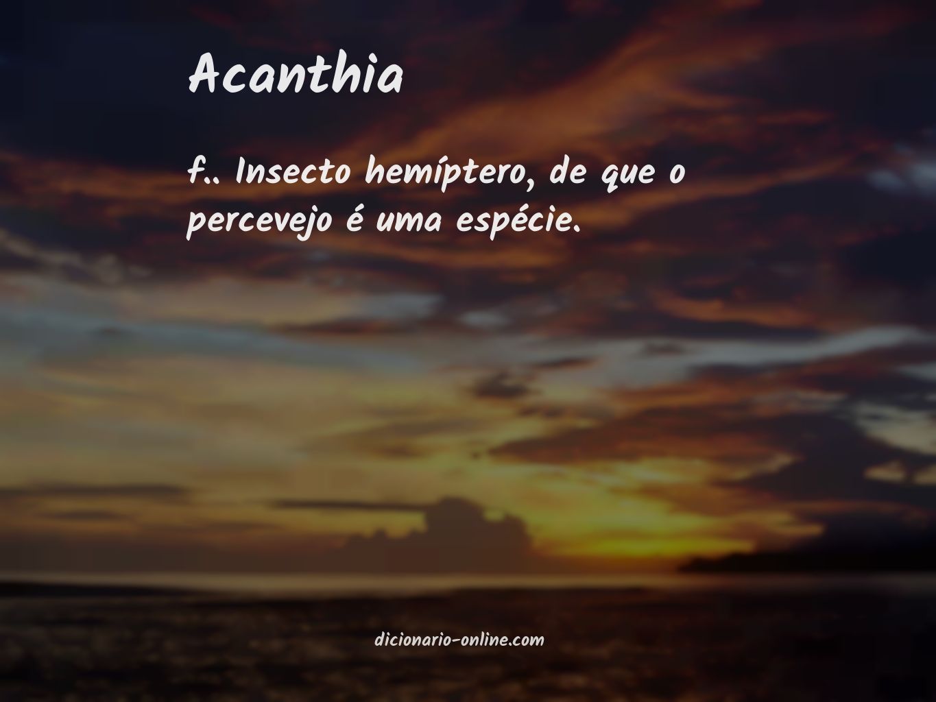 Significado de acanthia