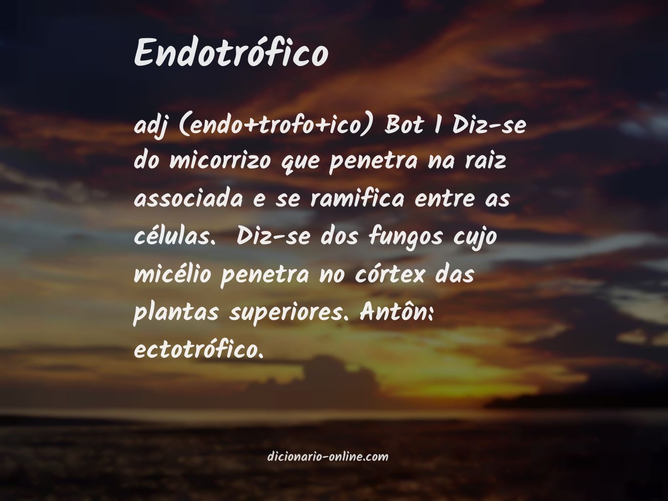 Significado de endotrófico