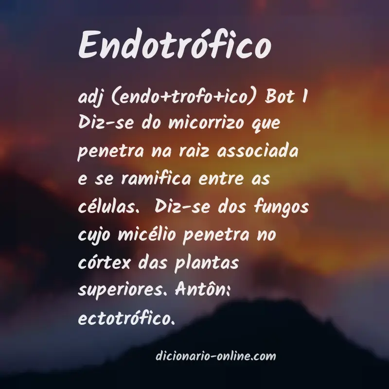 Significado de endotrófico