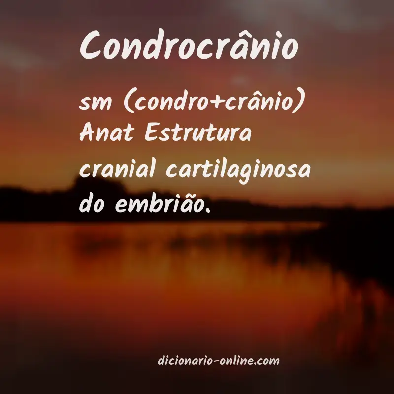 Significado de condrocrânio