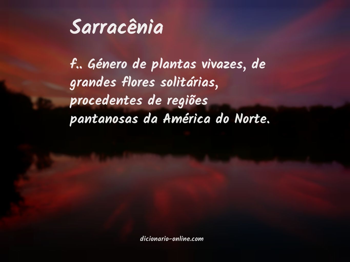 Significado de sarracênia