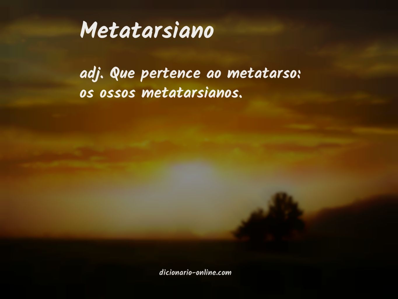 Significado de metatarsiano