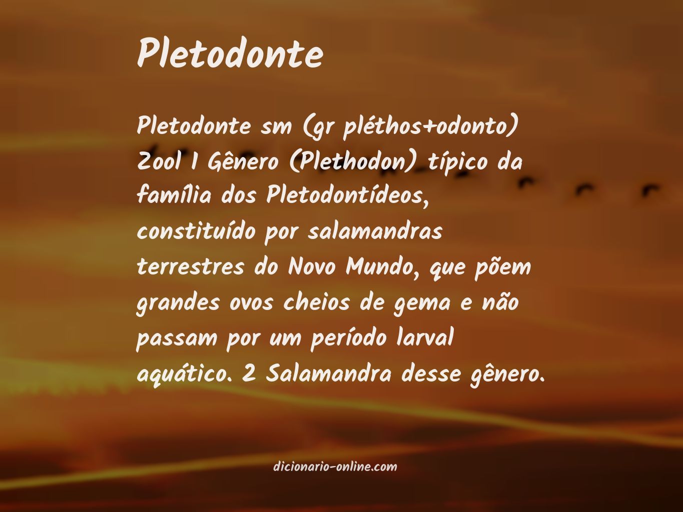 Significado de pletodonte