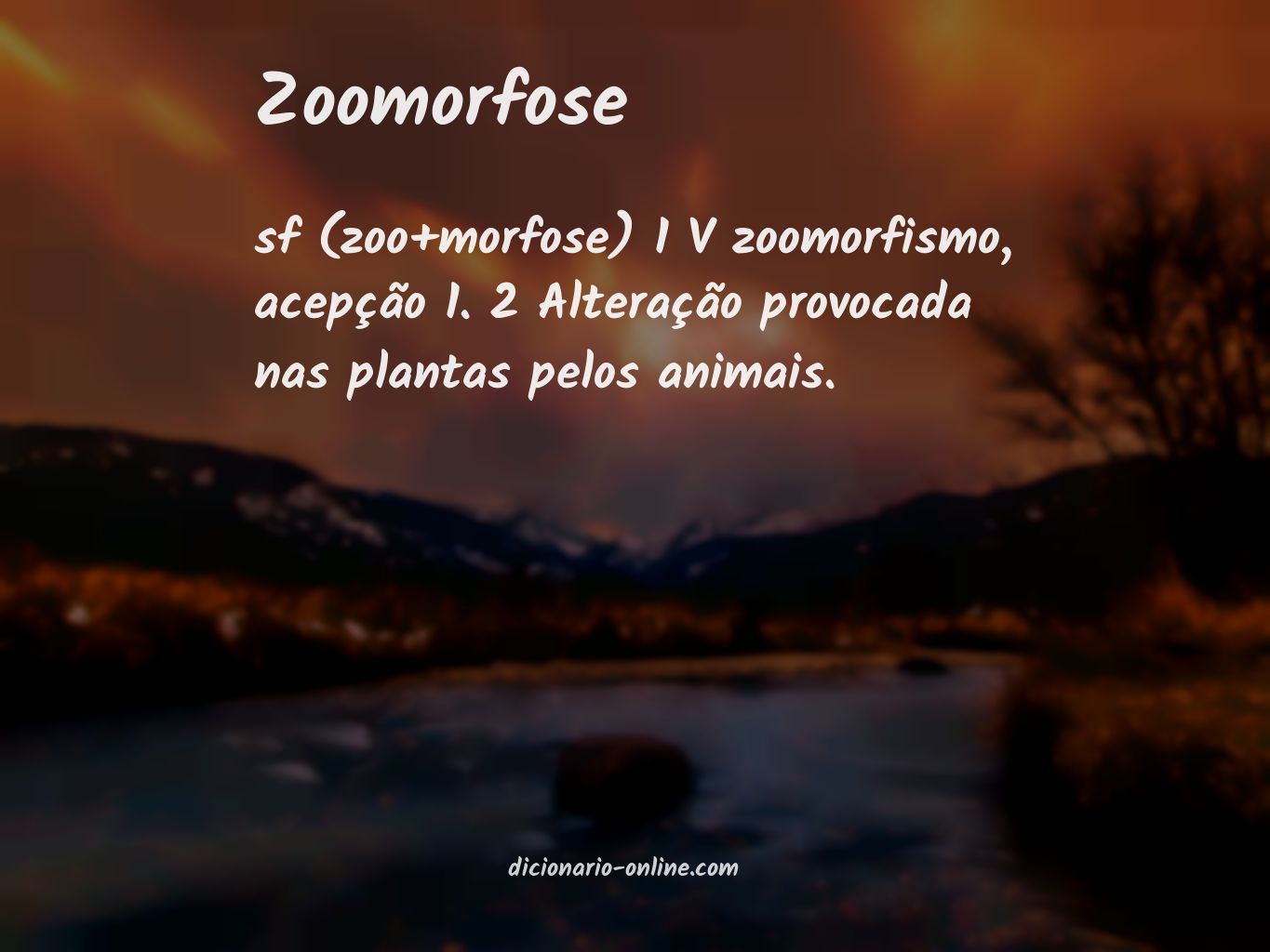 Significado de zoomorfose