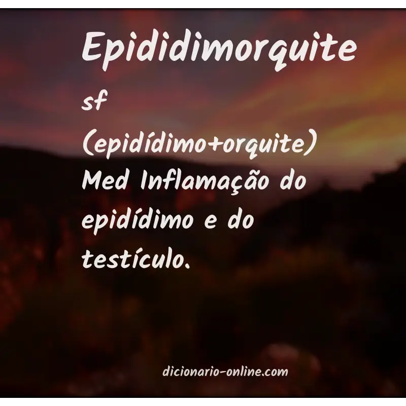 Significado de epididimorquite