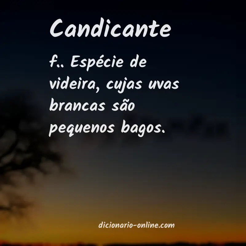 Significado de candicante