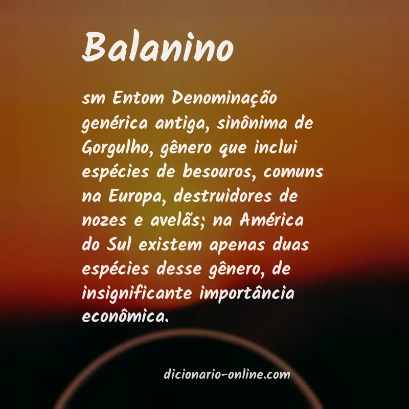 Significado de balanino