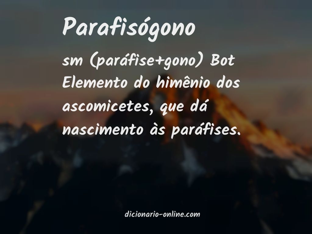 Significado de parafisógono