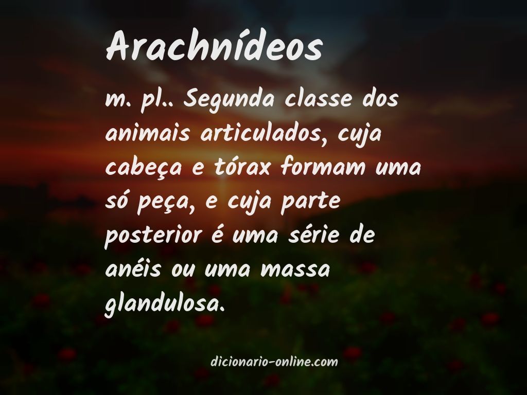 Significado de arachnídeos