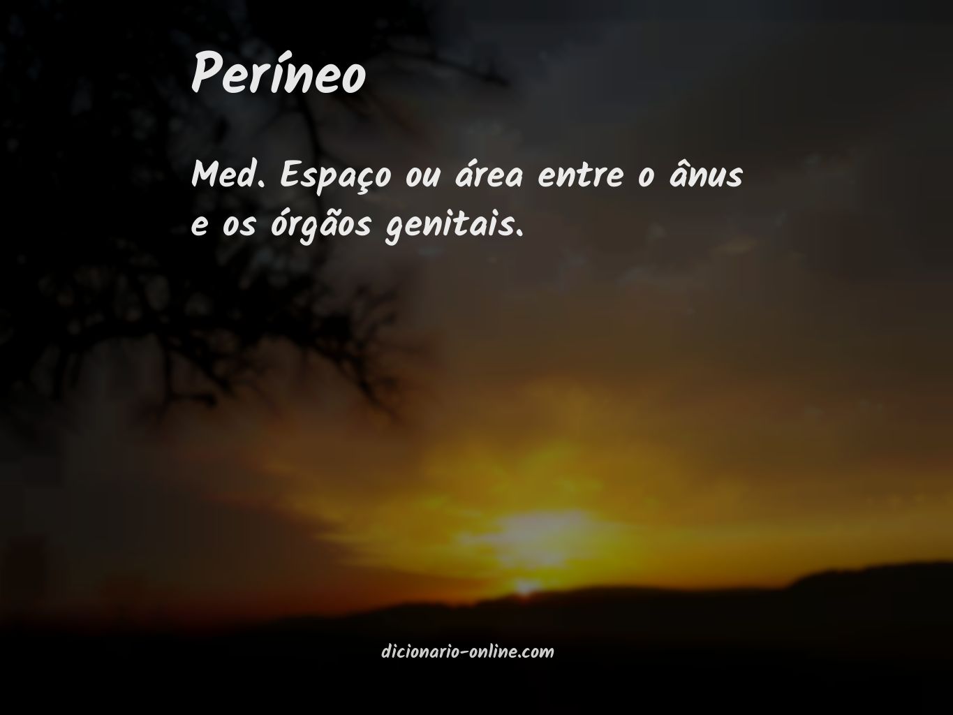 Significado de períneo