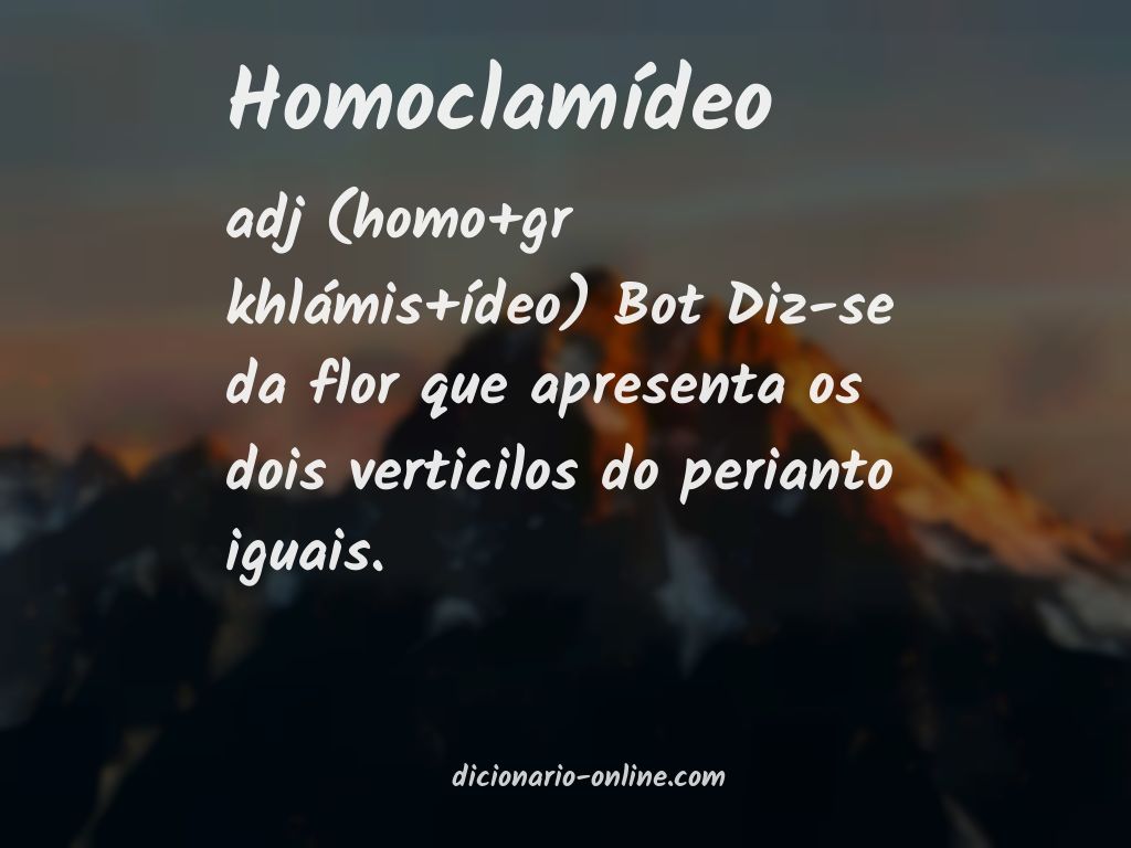 Significado de homoclamídeo