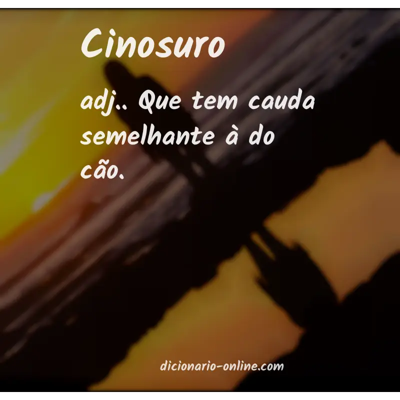 Significado de cinosuro