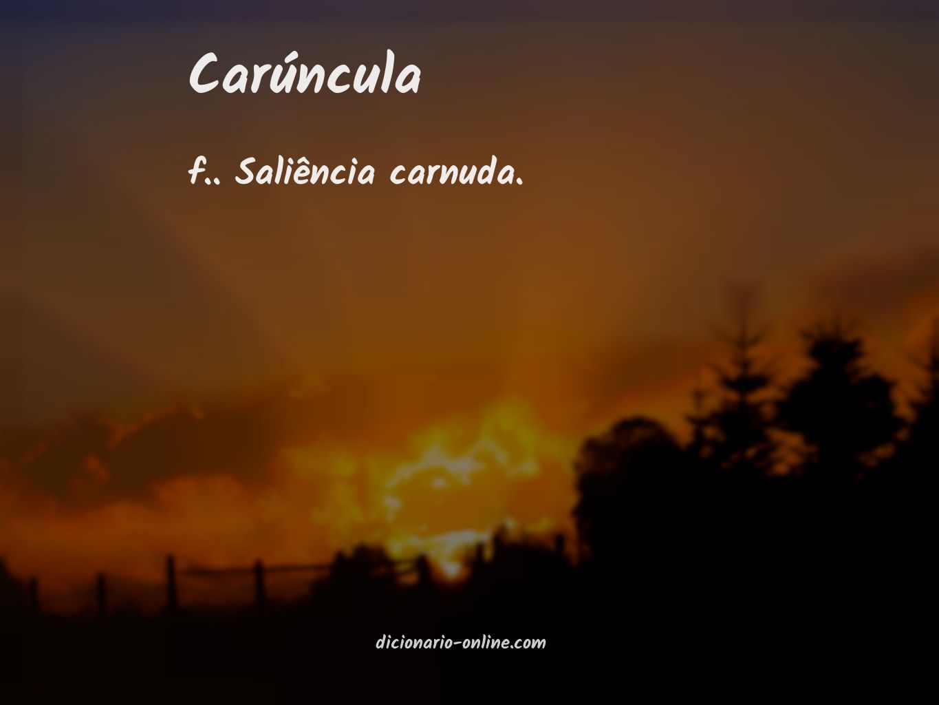 Significado de carúncula