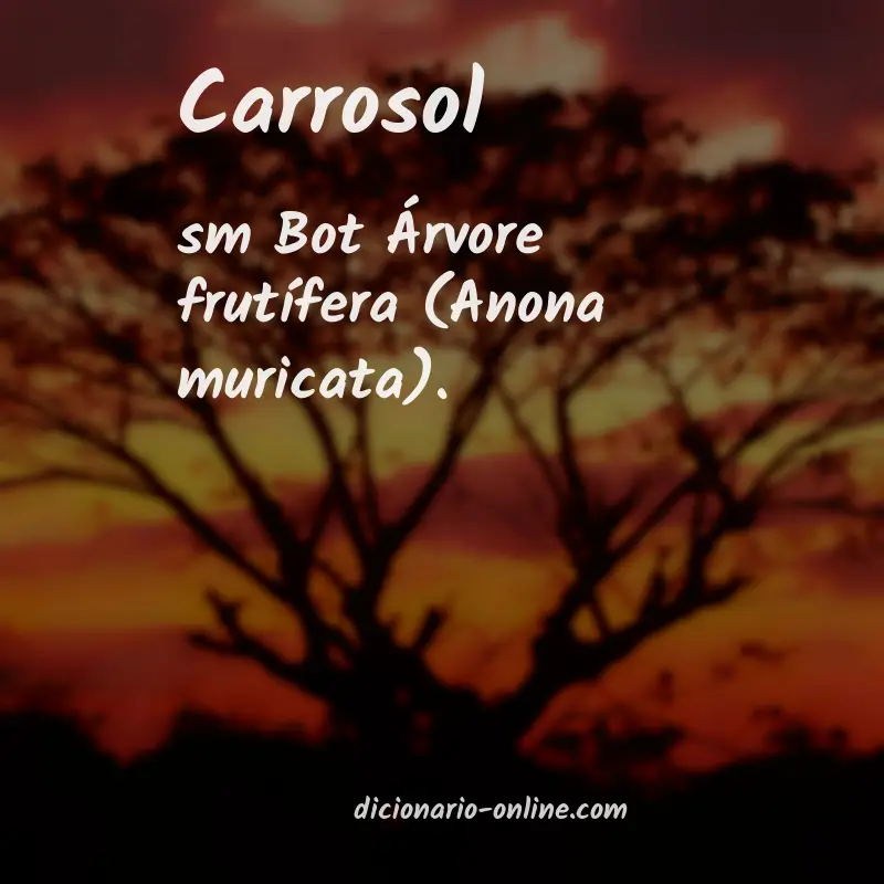 Significado de carrosol