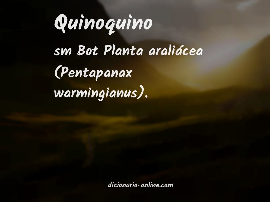 Significado de quinoquino