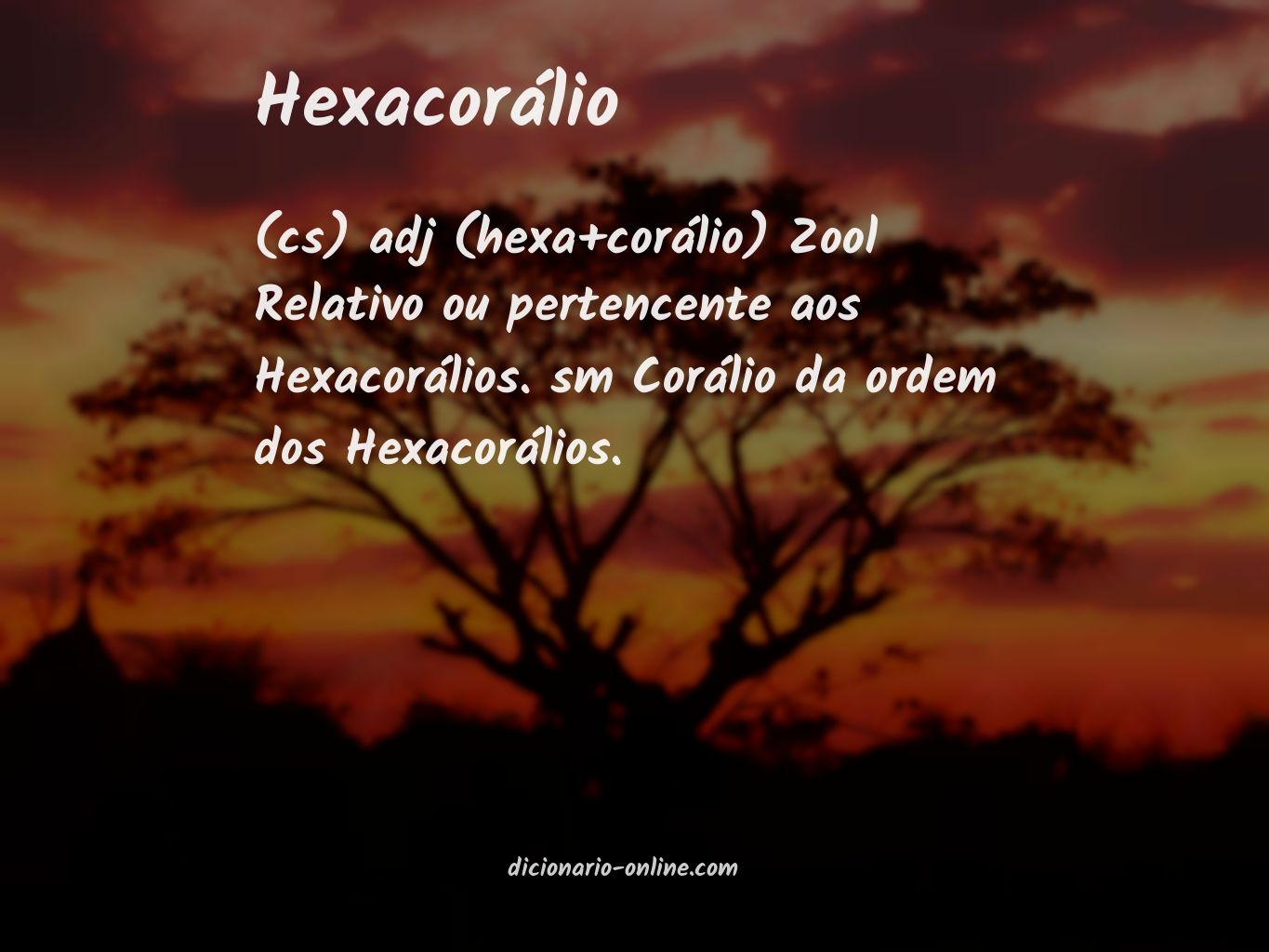 Significado de hexacorálio