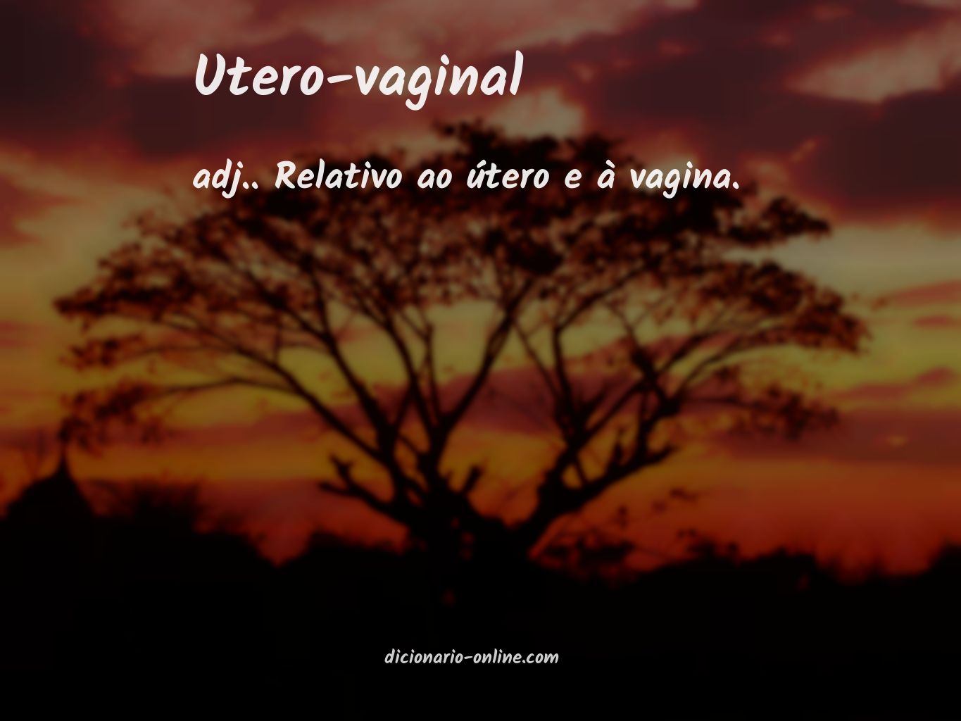 Significado de utero-vaginal