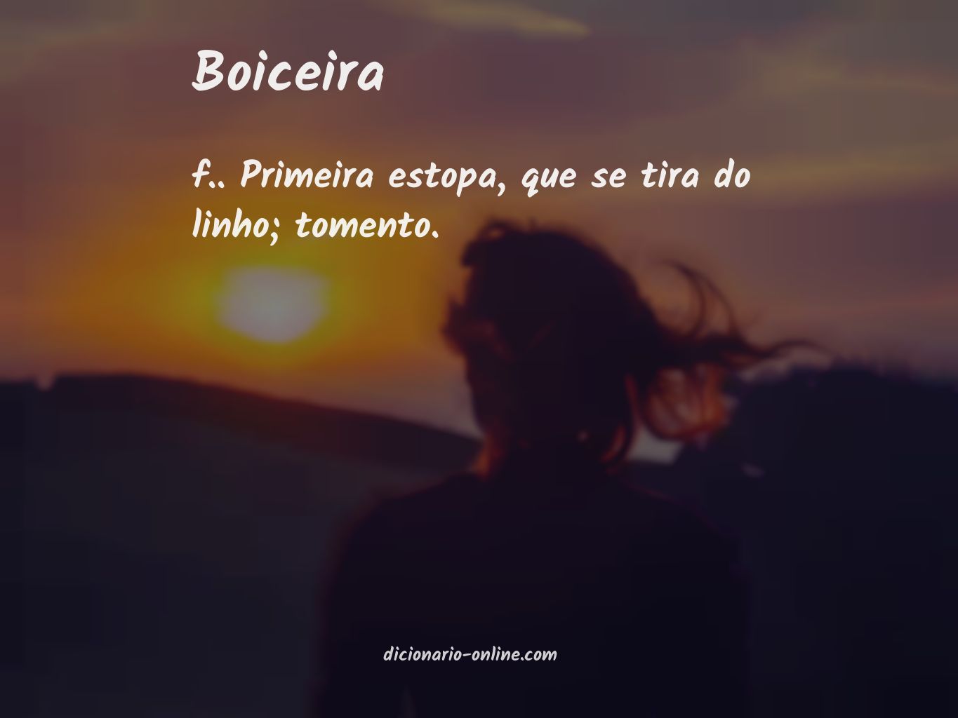 Significado de boiceira