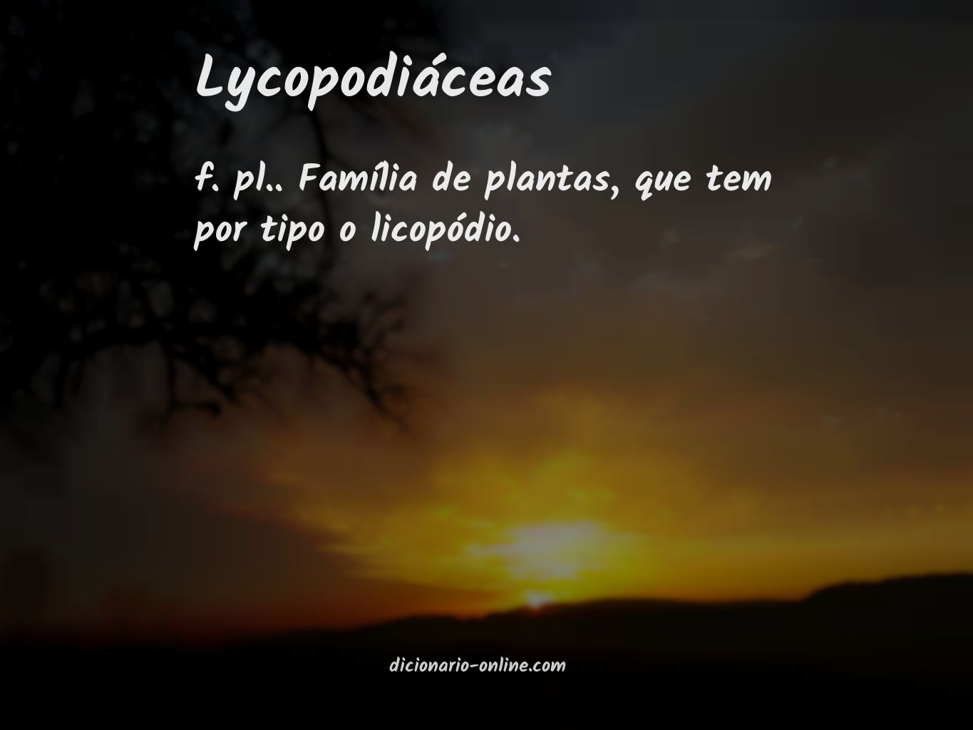 Significado de lycopodiáceas