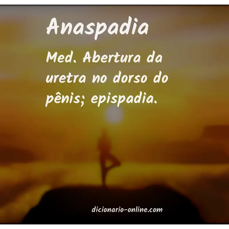 Significado de anaspadia