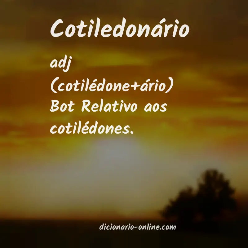 Significado de cotiledonário