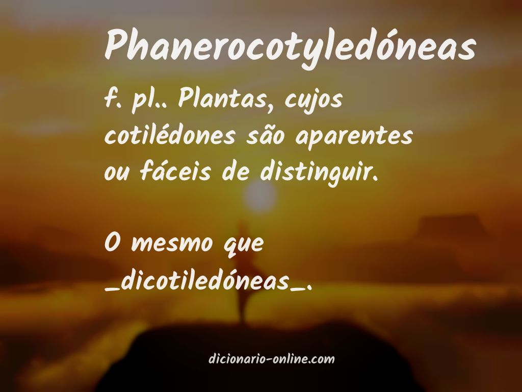 Significado de phanerocotyledóneas