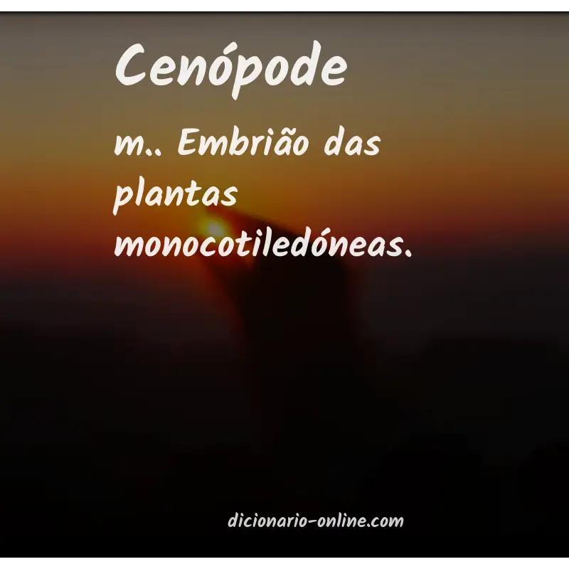 Significado de cenópode