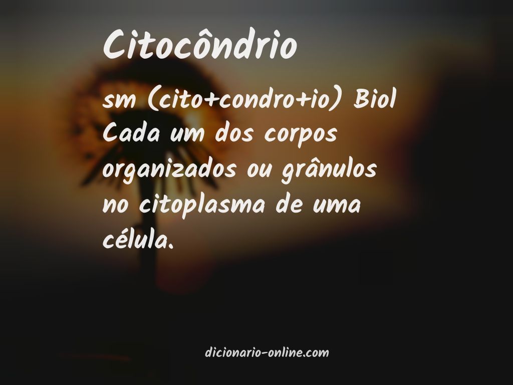 Significado de citocôndrio