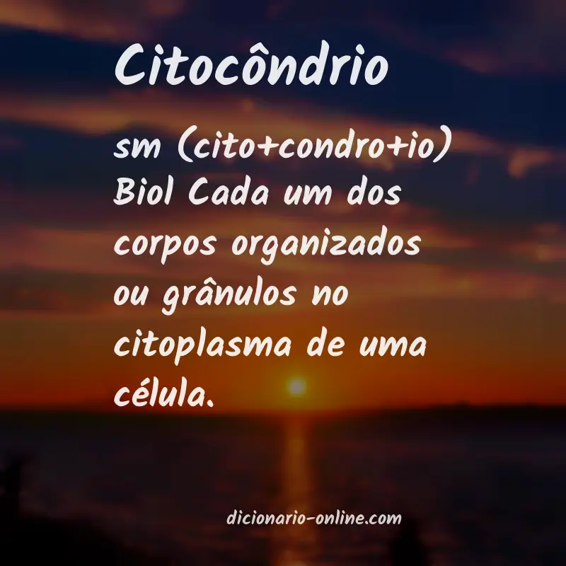 Significado de citocôndrio