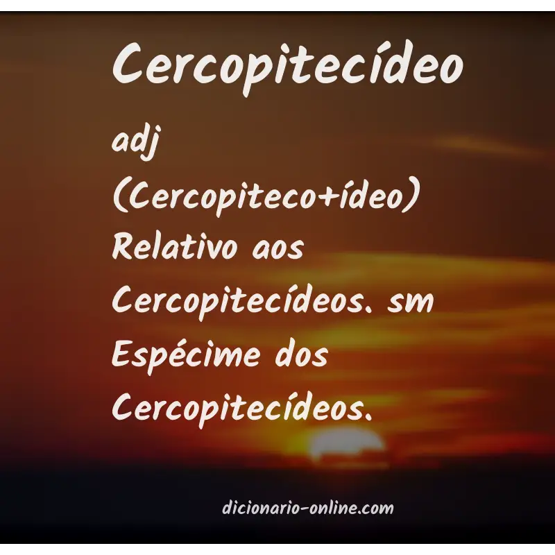 Significado de cercopitecídeo