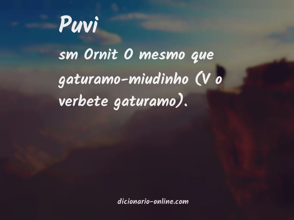 Significado de puvi