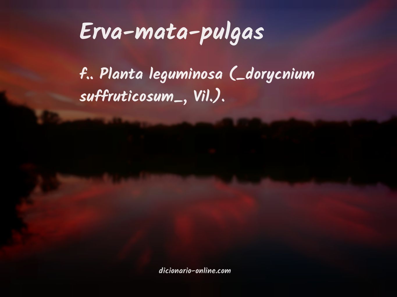 Significado de erva-mata-pulgas