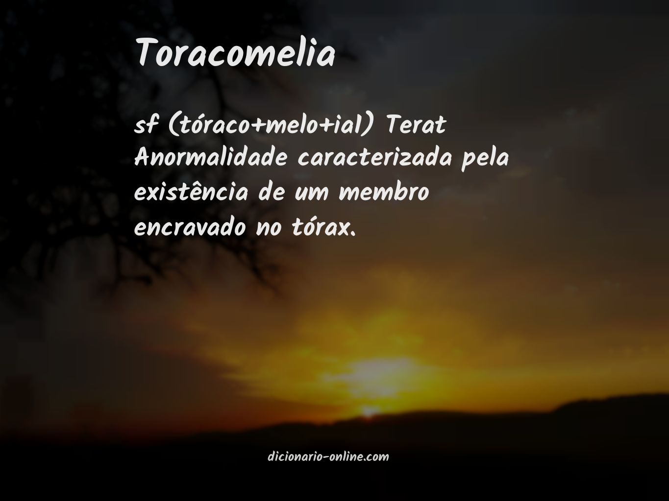 Significado de toracomelia