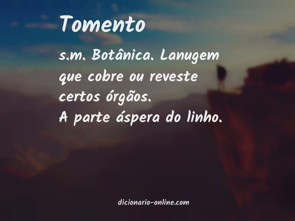 Significado de tomento