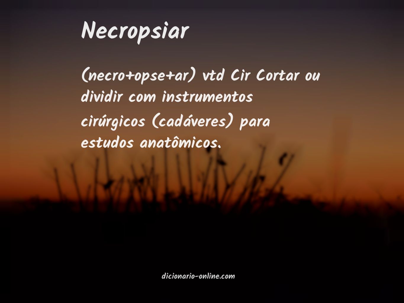 Significado de necropsiar