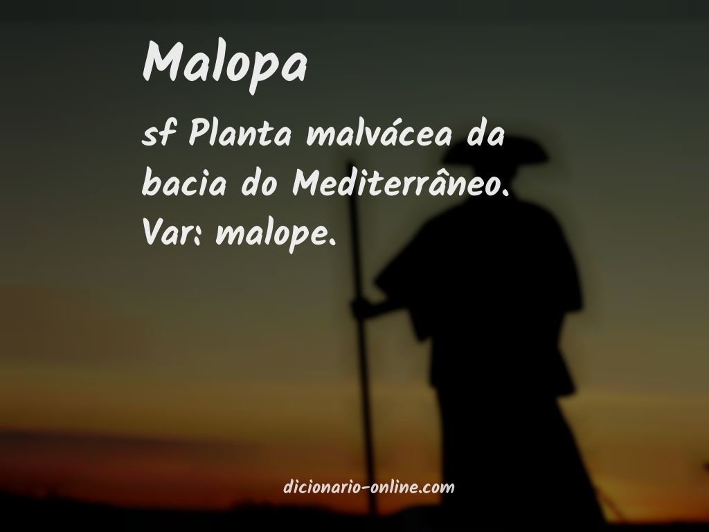 Significado de malopa