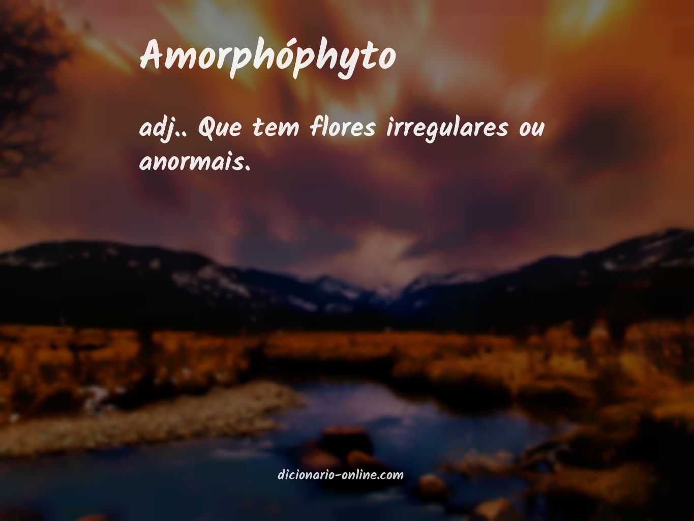 Significado de amorphóphyto