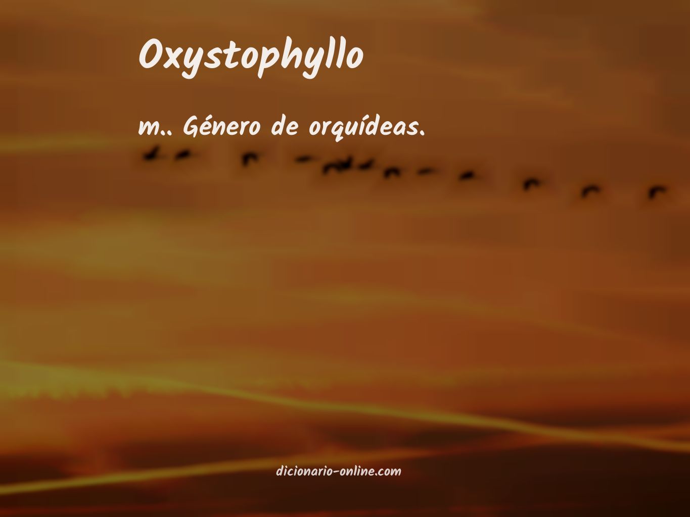 Significado de oxystophyllo