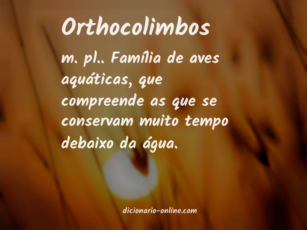 Significado de orthocolimbos