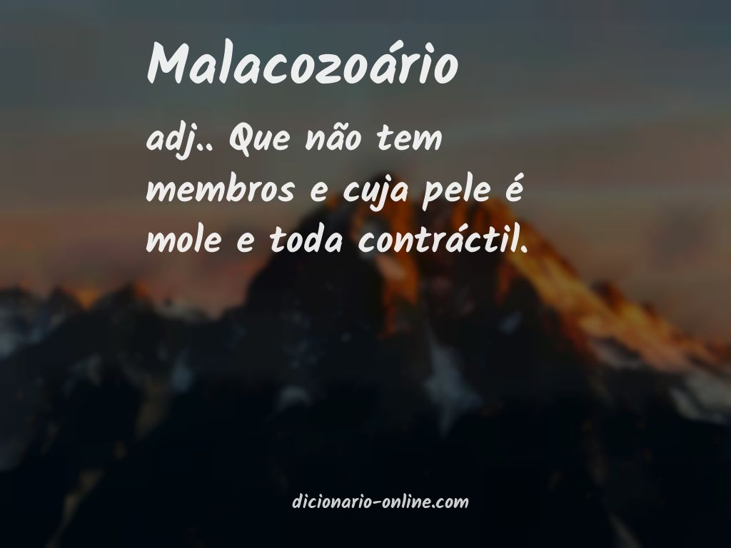 Significado de malacozoário