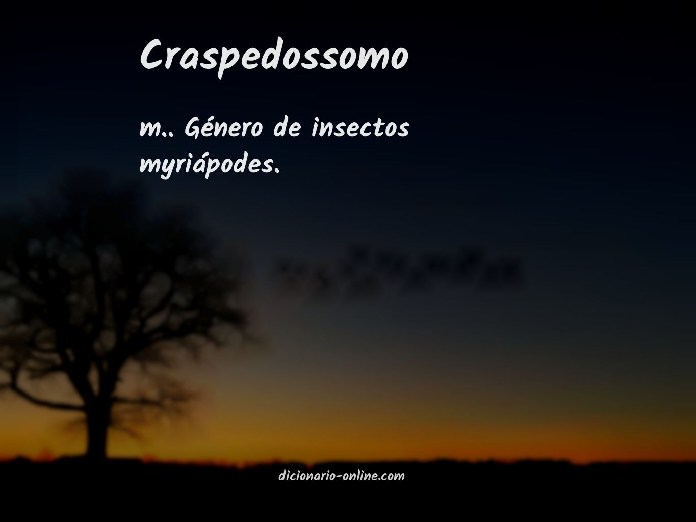 Significado de craspedossomo