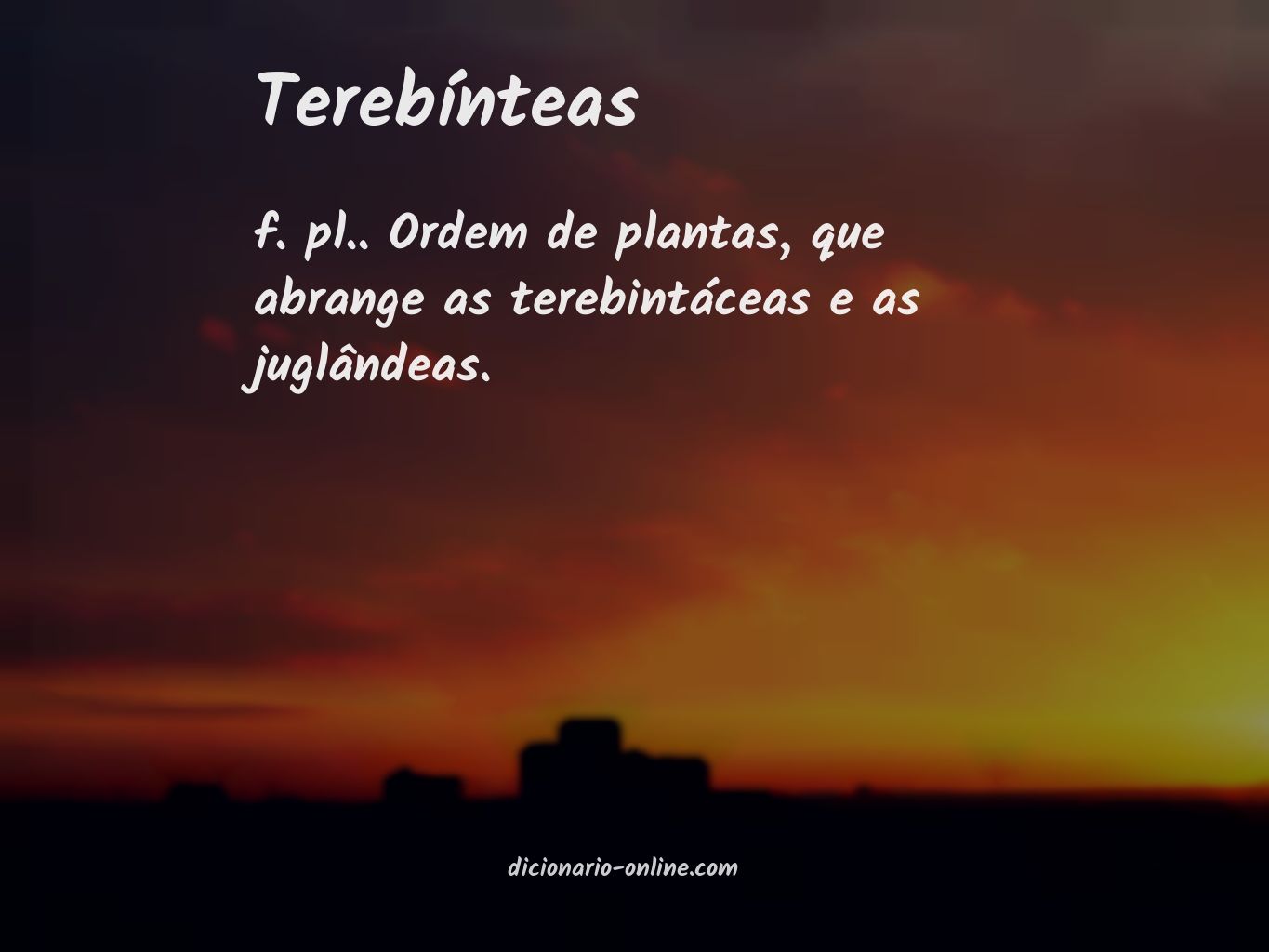 Significado de terebínteas