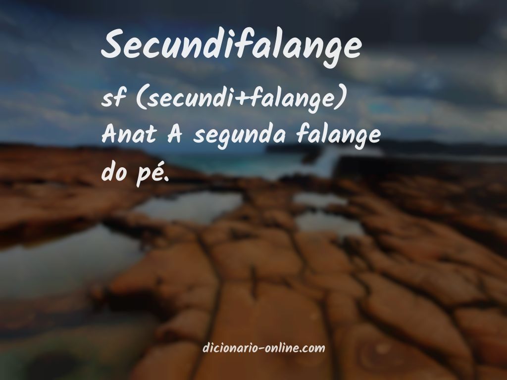 Significado de secundifalange