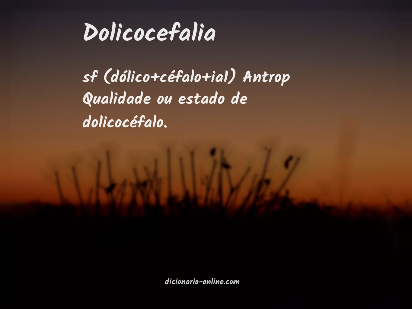 Significado de dolicocefalia