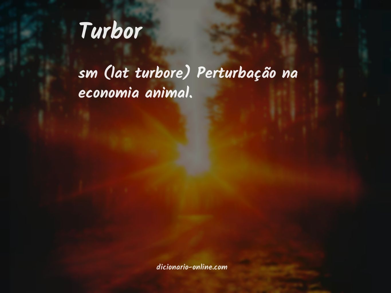 Significado de turbor