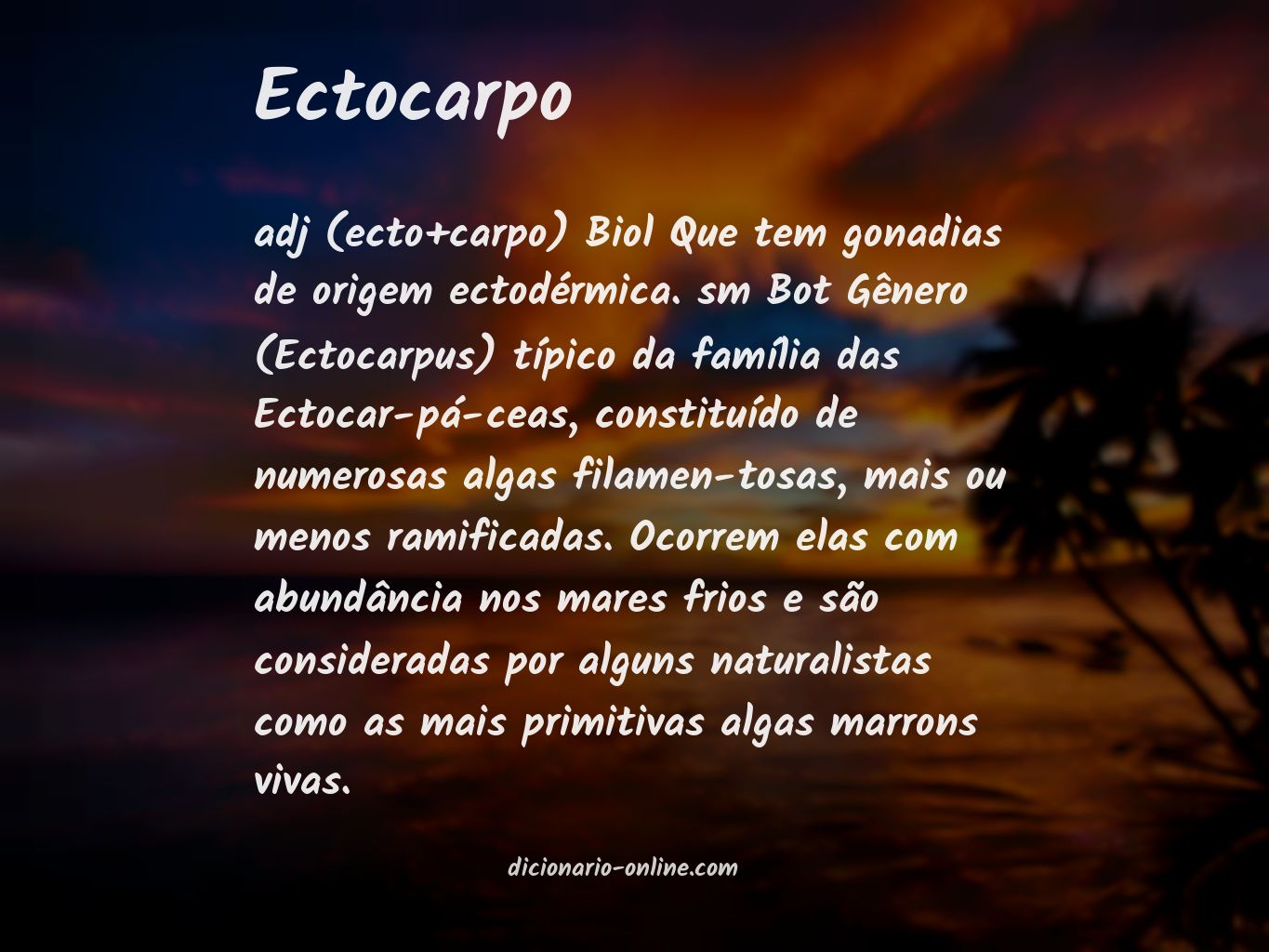 Significado de ectocarpo