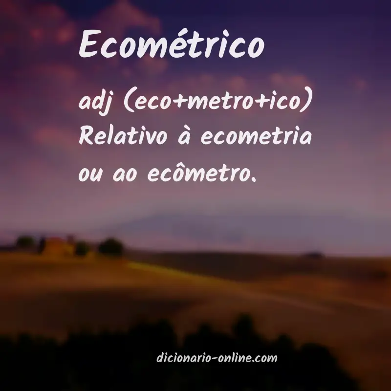 Significado de ecométrico