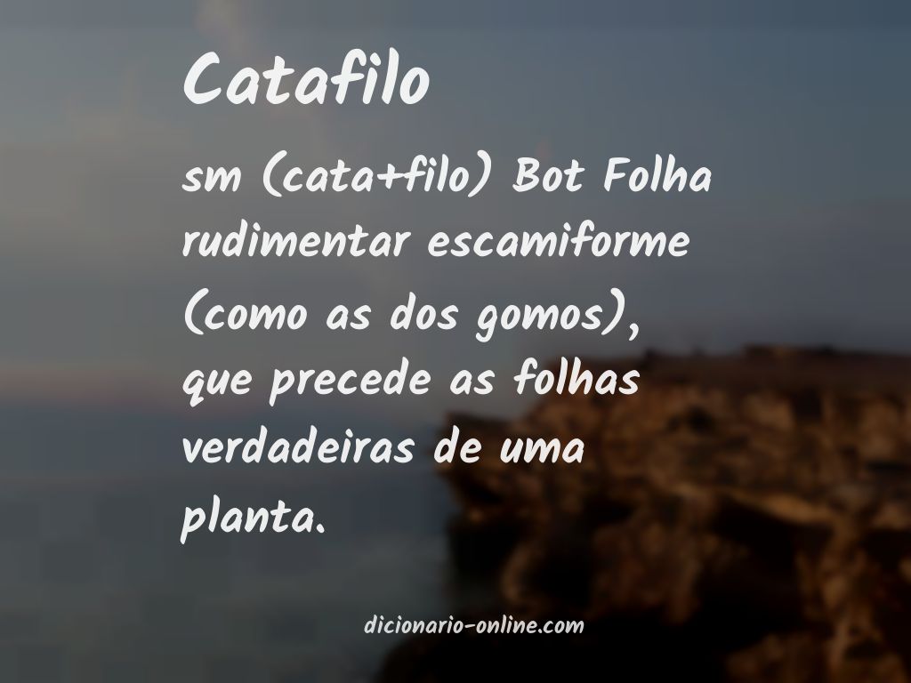 Significado de catafilo