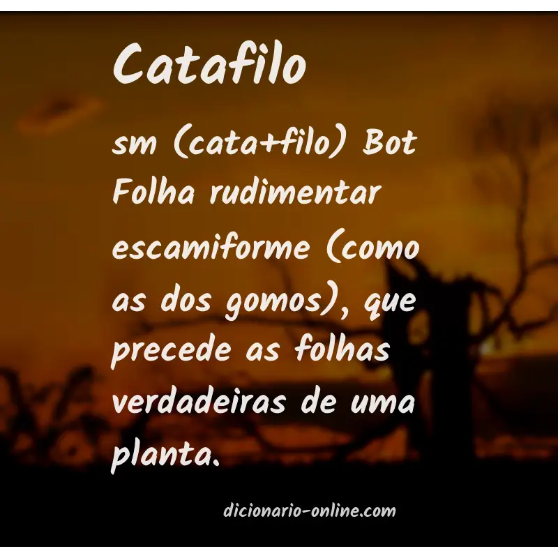 Significado de catafilo