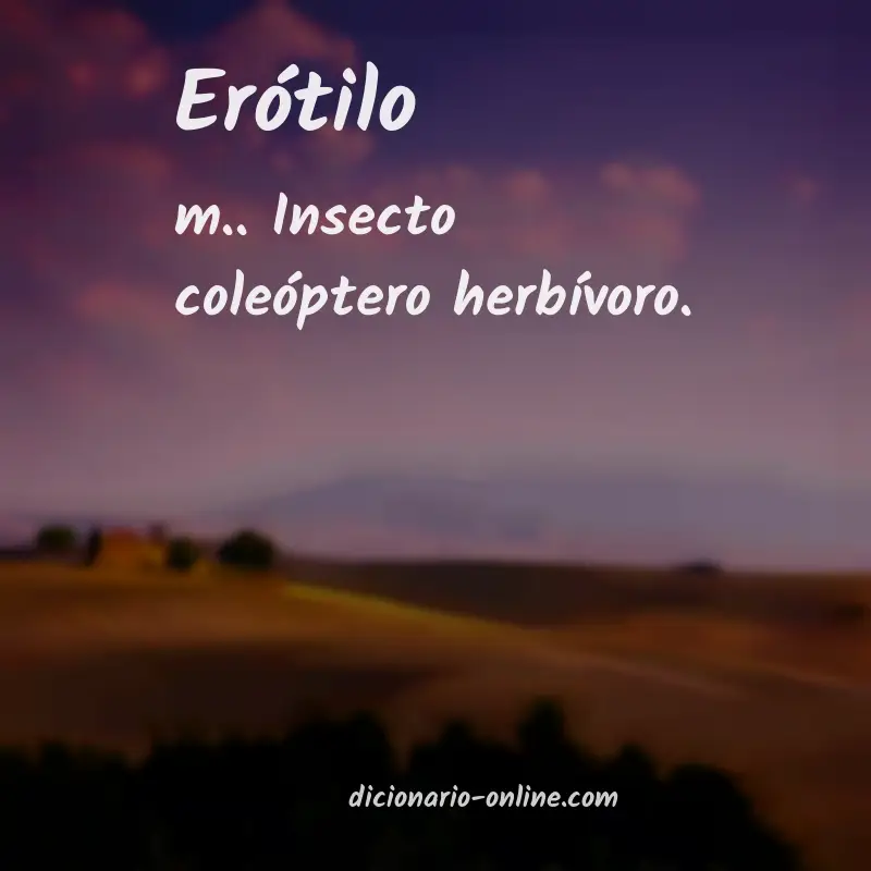 Significado de erótilo